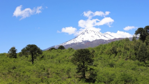 Proyecto rescata riquezas naturales y tradición cultural de la Araucanía Andina a través del geoturismo